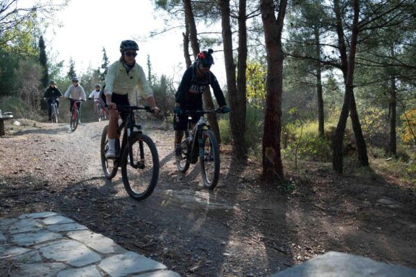 E-Bike Adventure in Thassos Island - The Sum Up