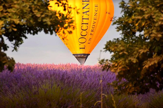 E-bike & Balloon Ride - Reviews