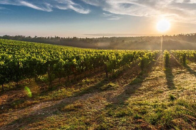 E-Bike Barcelona Coast and Vineyards With Wine Tasting (PRIVATE) - What to Expect