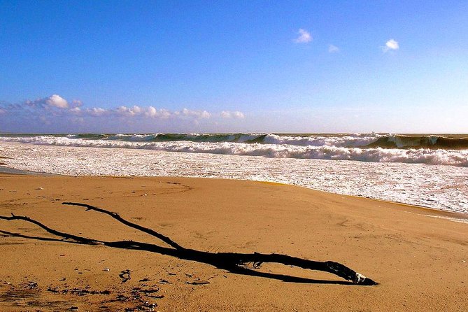 E-Bike Beach Tour (Playa Del Rey Beach) - What to Expect