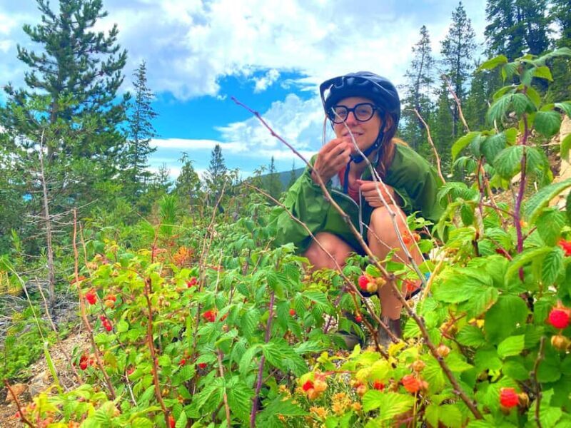 E-Bike & Brews: Denver's Platte River & Brewery E-Bike Tour - Authentic Experiences & What Travelers Have Said