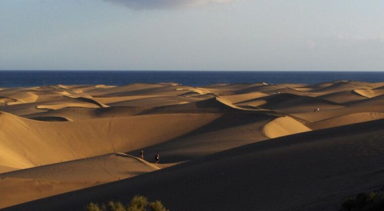 E-Bike City Tour With Camel Safari on Maspalomas Sand Dunes - Participant Requirements and Restrictions
