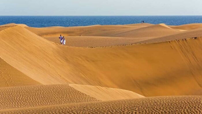 E-Bike City Tour With Camel Safari on Maspalomas Sand Dunes - Birding at the Maspalomas Nature Reserve