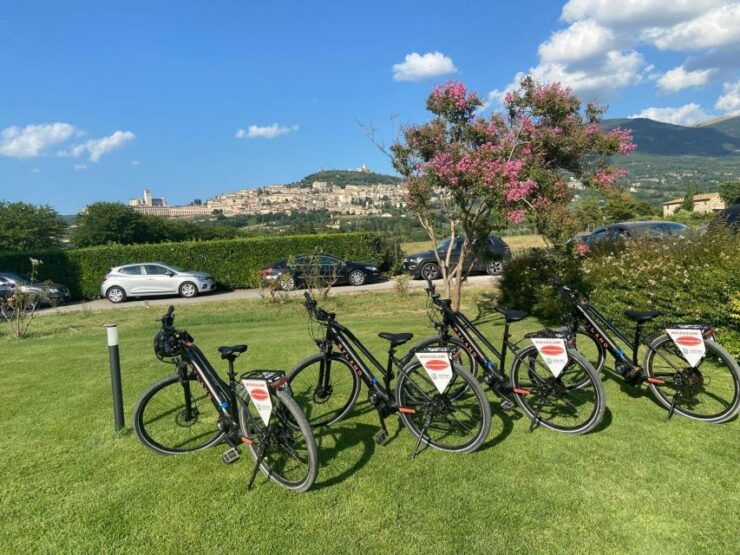 E-Bike Citybike Rental - Full Day - Activity Description and Inclusions