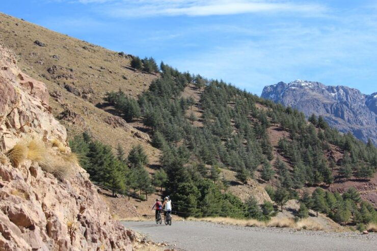 E-Bike Day Trip in the Atlas Mountains - Experience and Itinerary