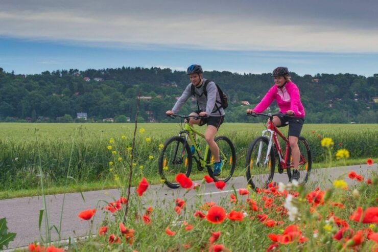 E-Bike Day Trip: Visit a Roman Castle and Taste Craft Beer - Tour Overview