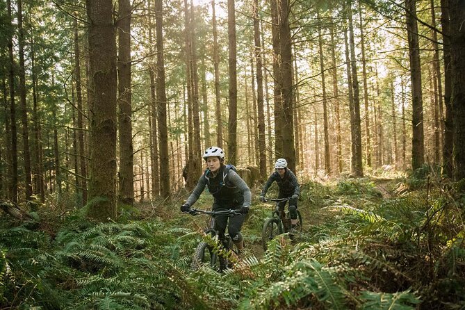 E-Bike Day Trip With Lunch to Harrys Rock or Corfé Castle - Cancellation Policy