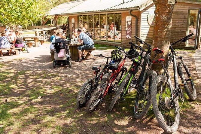 E-Bike Day Trip With Lunch to Harrys Rock or Corfé Castle - Common Questions