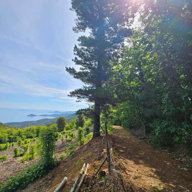 E bike Excursions and Lunch in Monte Capanne - Authentic Experience and Unique Highlights