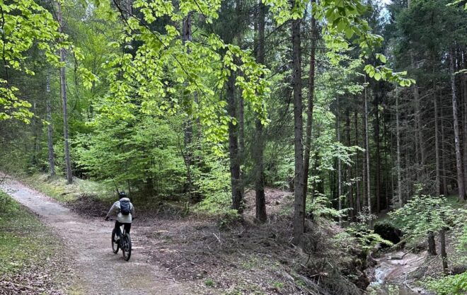 E-BIKE EXPERIENCE TOUR: Andalo - Fai - Fausior Mount - Tour Route