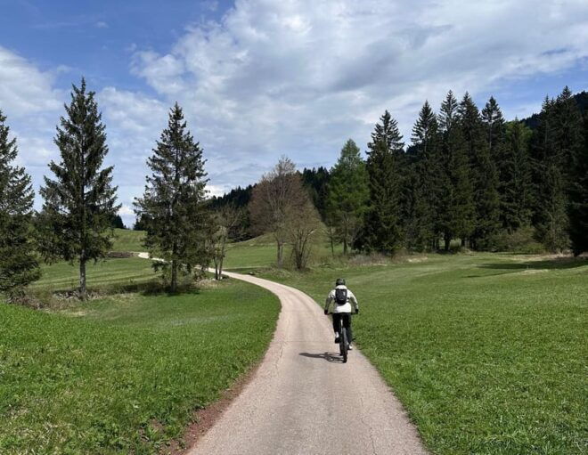 E-BIKE EXPERIENCE TOUR: Andalo - Fai - Fausior Mount - Panoramic Viewpoint