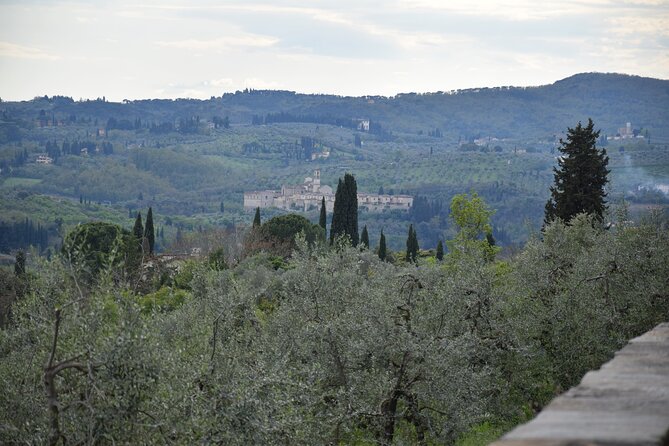 E-Bike Florence Tour Countryside Tuscany, Farm Experience - Common Questions