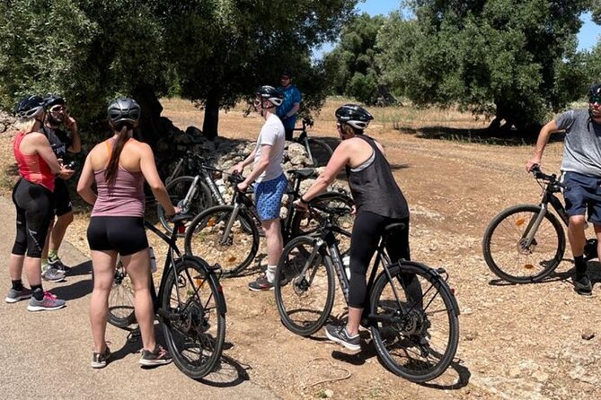 E-Bike, Focaccia and Wine - Immersive Cultural Discoveries