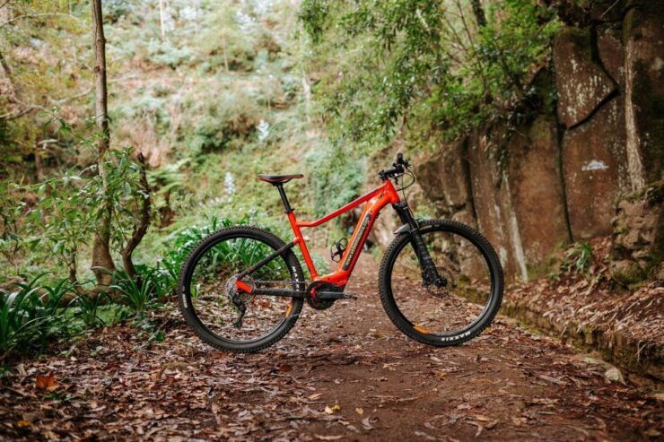 E-Bike Guided Tour - Mountain Biking Experience - Tour Price and Duration