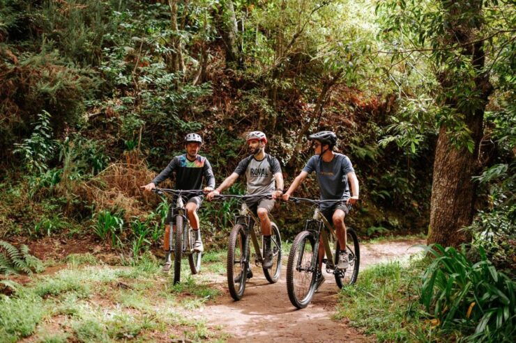 E-Bike Guided Tour - Mountain Biking Experience - Tour Overview