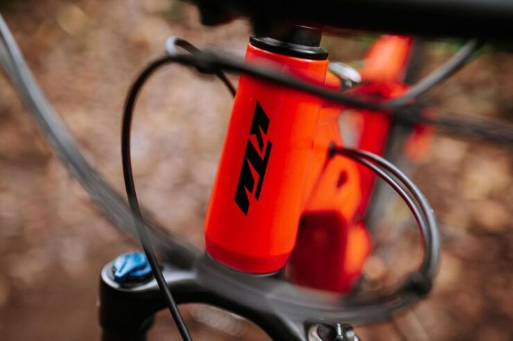 E-Bike Guided Tour - Mountain Biking Experience - Booking and Payment Details