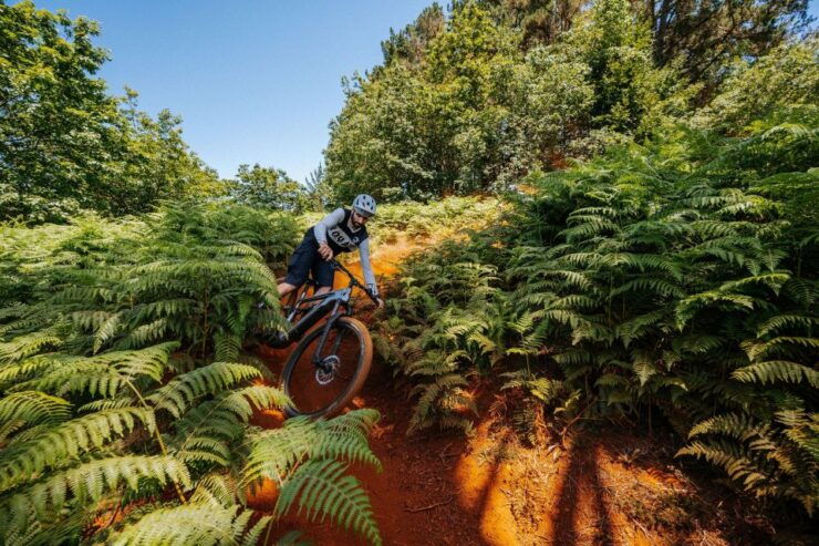 E-Bike Guided Tour - North Side Mountain Biking - Tour Highlights