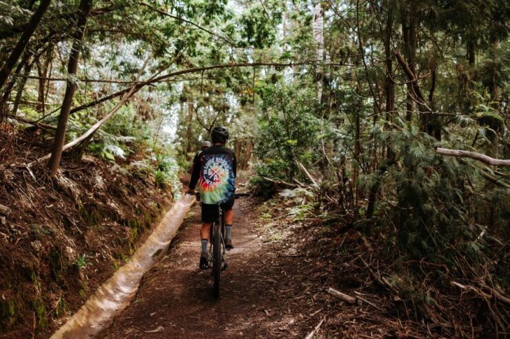 E-Bike Guided Tour - West Side Mountain Biking - Highlights and Inclusions