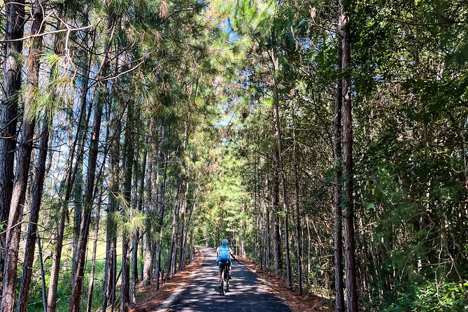 E Bike Hire - Northern Rivers Rail Trail - Self Guided Tour - Tour Details