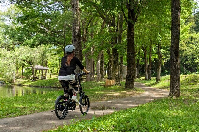 E Bike in Yuzawa Mountain Views Lake Daigenta and Rice Terraces - Why Choose the Yuzawa E-Bike Tour?