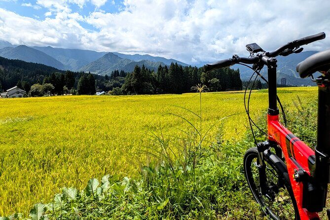 E Bike in Yuzawa Mountain Views Lake Daigenta and Rice Terraces - Authentic Traveler Insights