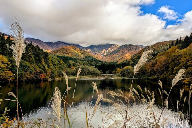 E Bike in Yuzawa Mountain Views Lake Daigenta and Rice Terraces - Good To Know