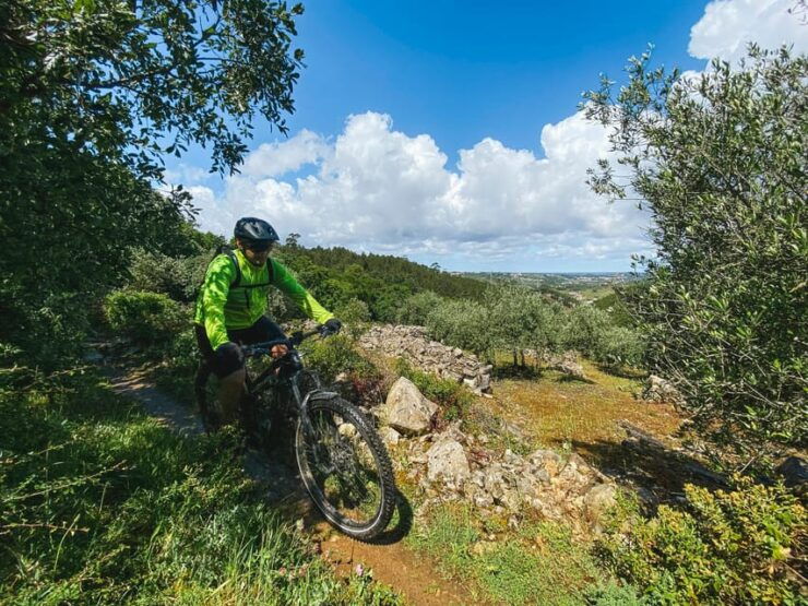E-bike Leiria Guided - Experience Highlights