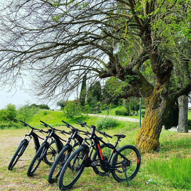 E-Bike Mtb Front- Full Day - Activity Details