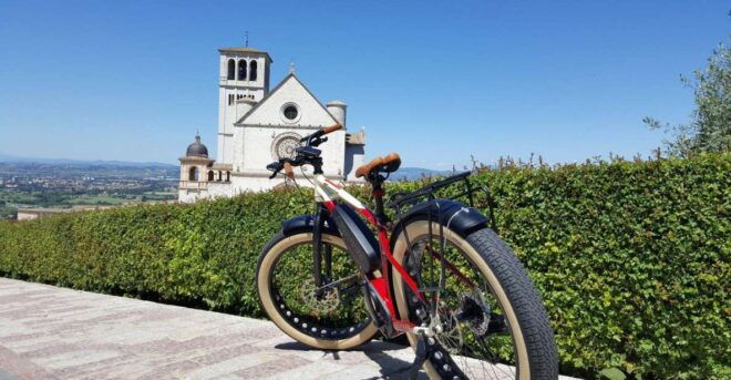 E-Bike Mtb Front- Full Day - Restrictions