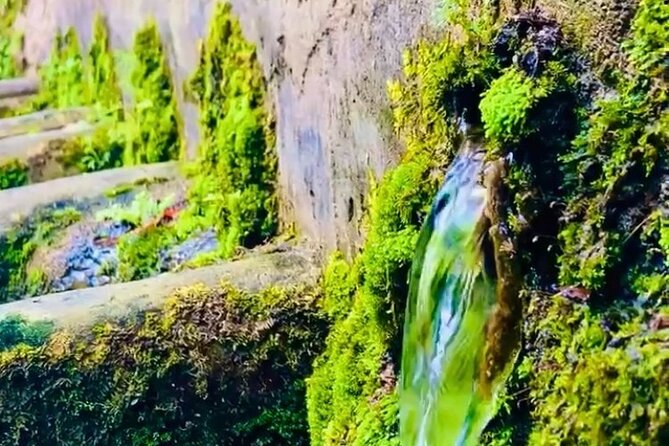E-Bike Nature Tour in Shuri - The Sum Up