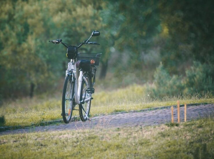 E-Bike | Palermo: Rent a E-Bike and Discover Palermo - Experience and Highlights