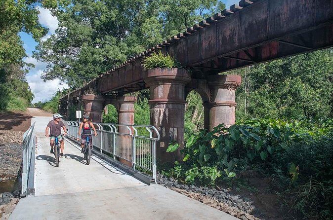 E bike Rail Trail and Husk Distillery Lunch Gold Coast and Byron - Who Is This Tour Best Suited For?