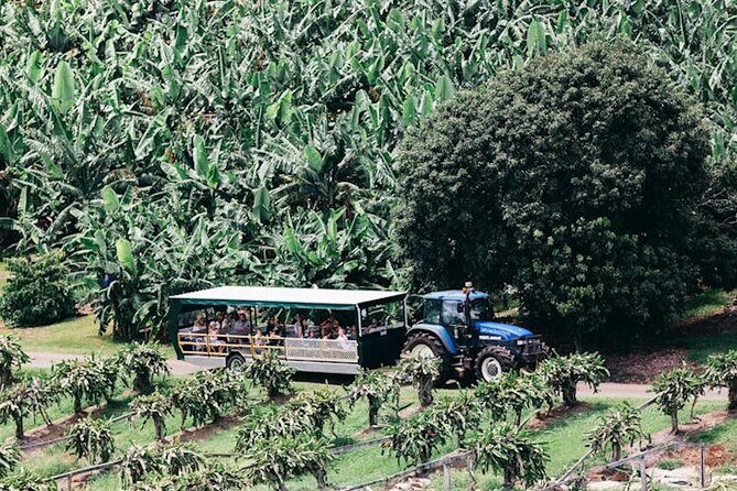 E-bike Rail Trail & Tropical Fruit World Tour: Gold Coast & Byron - A Closer Look at the Itinerary