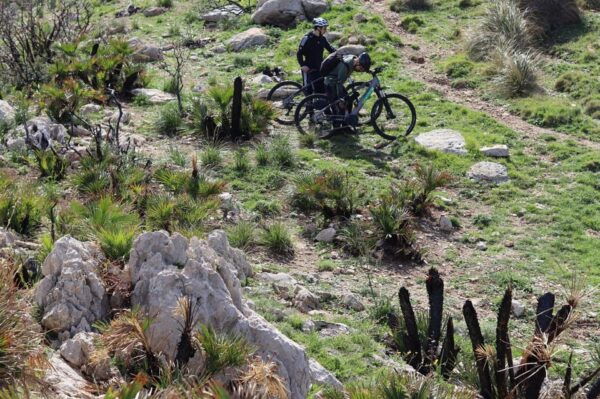 E-BIKE RENT DEL GOLFO: E-MTB RENTAL AND EXPERIENCE - Pricing and Duration