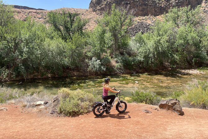 E-Bike Rental - Maximum Travelers per Tour/Activity