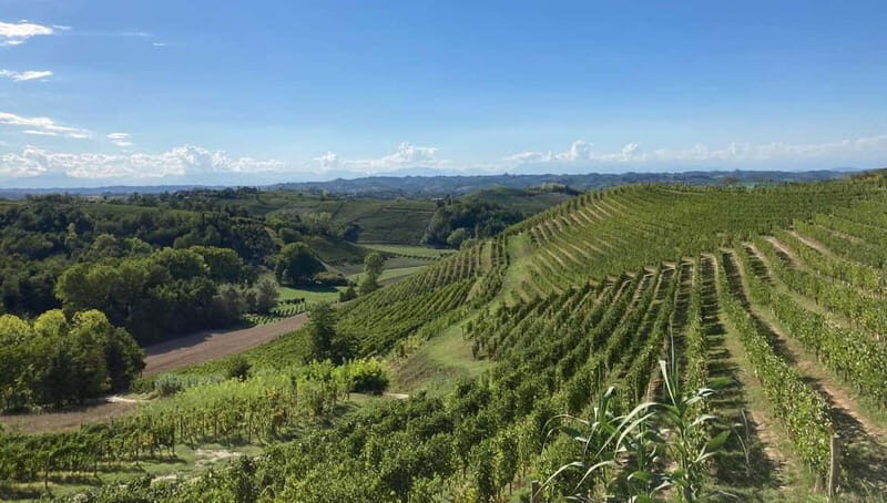 E-Bike Rental in Roero - Good To Know  