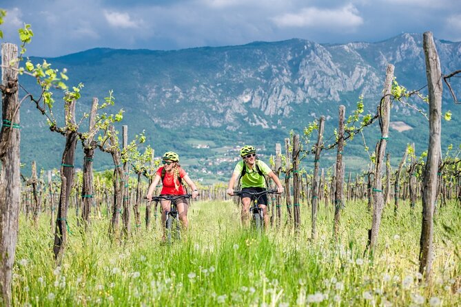 E-Bike Rental in South-West Slovenia - Why Choose E-Bike Rental in South-West Slovenia?