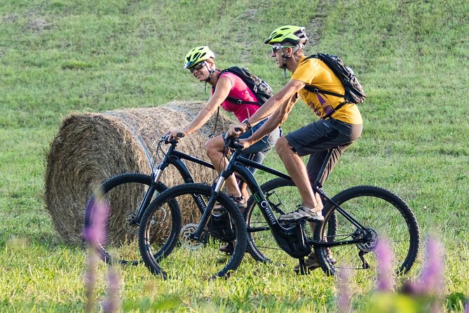 E-Bike Rental in South-West Slovenia - Inclusions and Services Provided