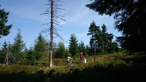E-Bike Ride in Mountains for Seniors - Frequently Asked Questions