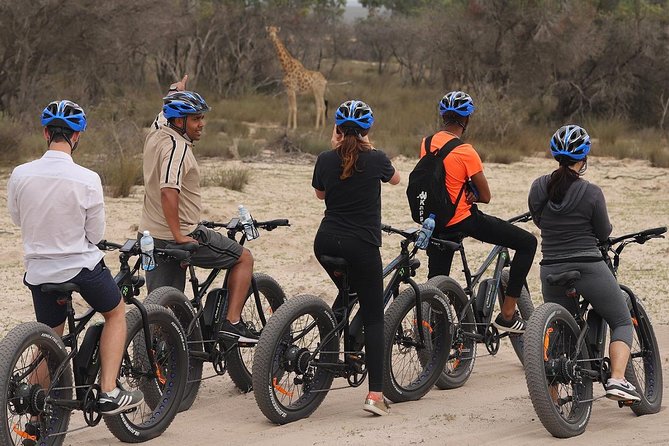 E-Bike Safari Tour - Tour Pricing and Booking Details