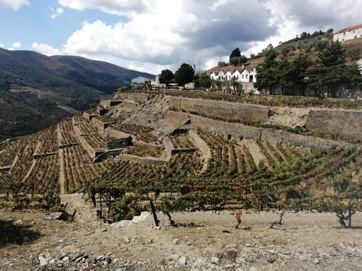E-Bike Through Douro Valley Wine Region for Half Day Tour - Good To Know