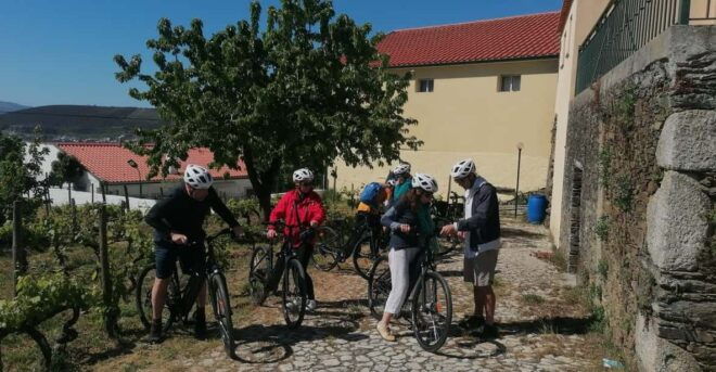 E-Bike Through Douro Valley Wine Region for Half Day Tour - Cancellation Policy