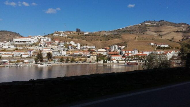 E-Bike Through Douro Valley Wine Region for Half Day Tour - Tour Guide Availability