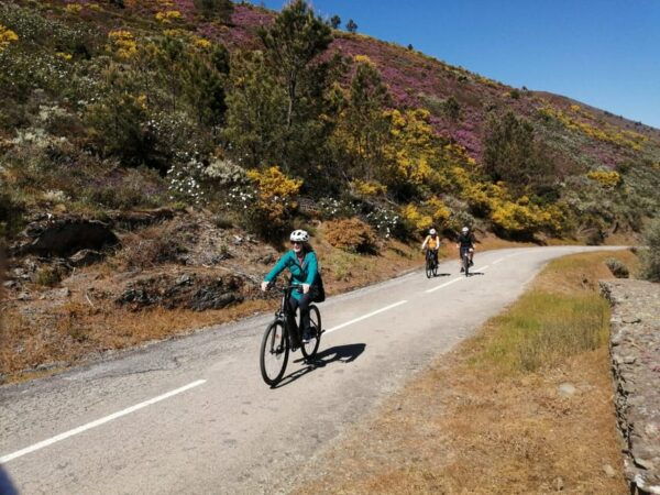 E-Bike Through Douro Valley Wine Region for Half Day Tour - Track Difficulty Levels