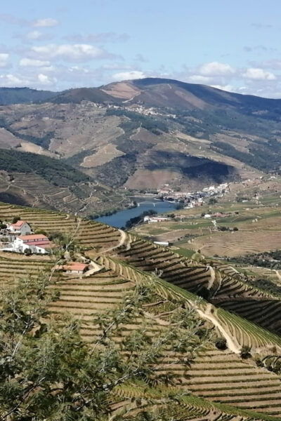E-Bike Through Douro Valley Wine Region for Half Day Tour - Tour Inclusions