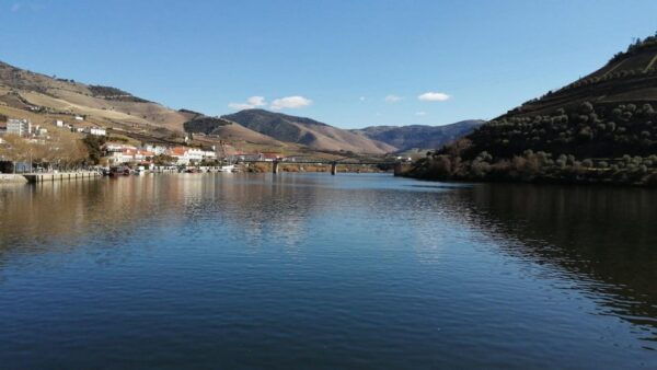 E-Bike Through Douro Valley Wine Region for Half Day Tour - Booking and Meeting Point