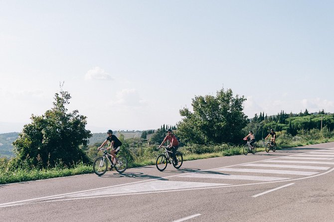 E-Bike Tour and Wine Tasting From San Gimignano - The Sum Up