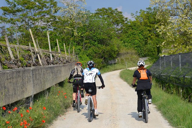 E-Bike Tour From Lake Garda to Verona - Expert Bike Guide