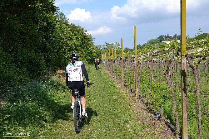 E-Bike Tour From Lake Garda to Verona - Weather Considerations
