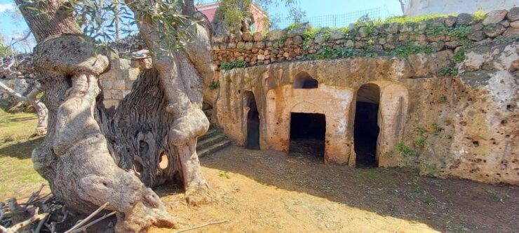 E-Bike Tour From Monopoli to the Rocky Village of St. Andrew - Tour Highlights